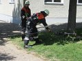 Absturzsicherung 19.05.2012 (31)